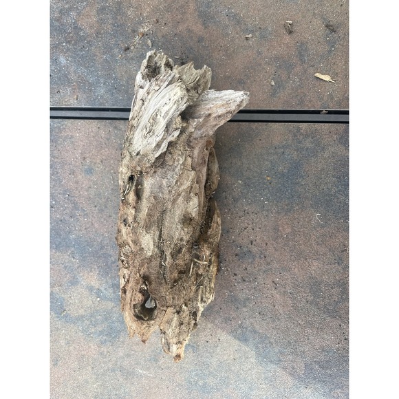Natural Driftwood for Plants Terrarium Taxidermy Art Projects - Picture 3 of 5
